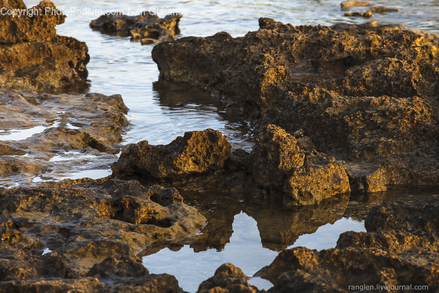 Cliff, Outdoors, Algae, Flora, Plant