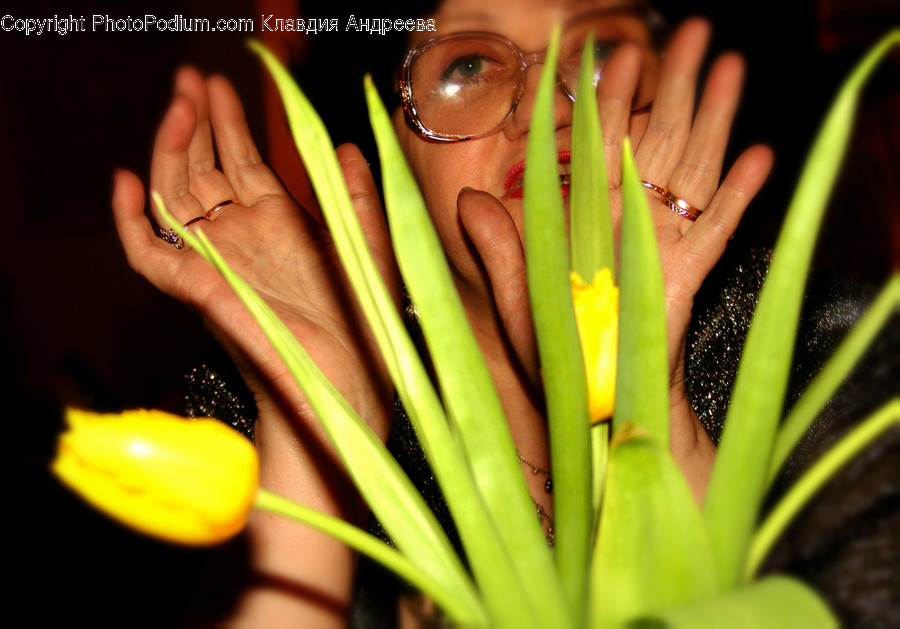 Human, People, Person, Glasses, Flora