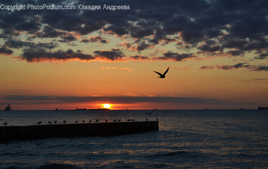 Dawn, Dusk, Nature, Outdoors, Red Sky
