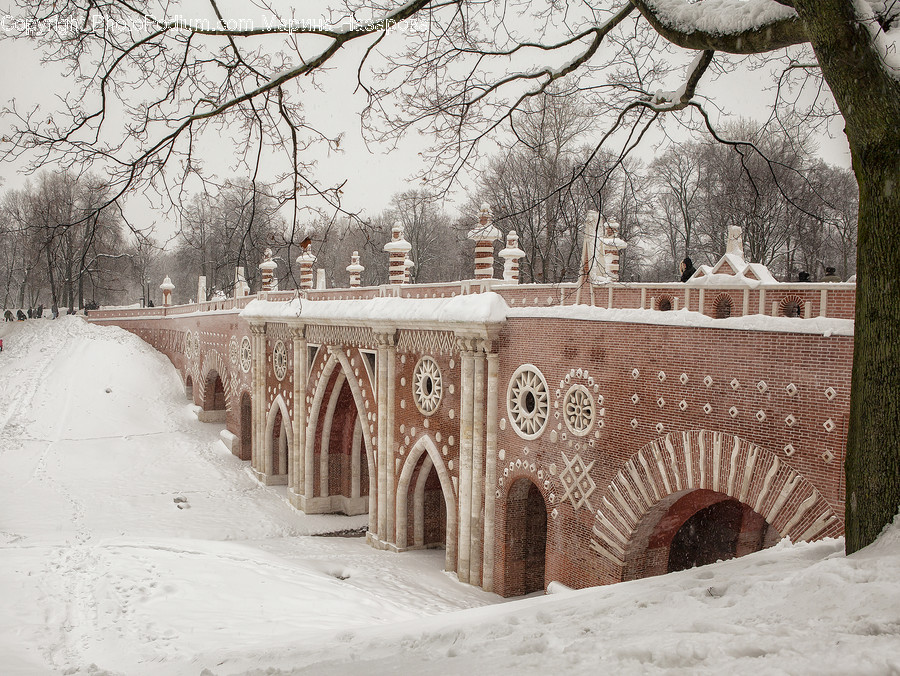 Arch, Arched, Architecture, Building, Flora