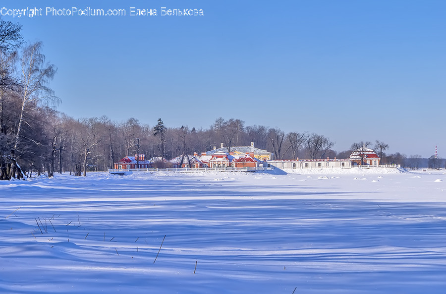 Arctic, Ice, Outdoors, Snow, Winter