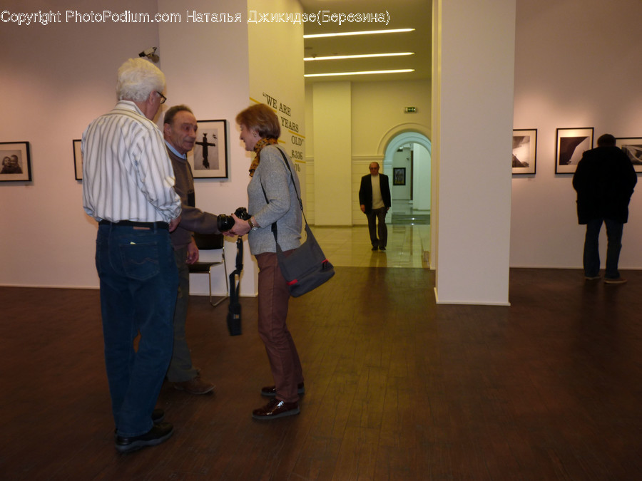 Human, People, Person, Art, Art Gallery