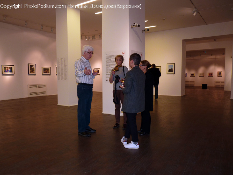 Human, People, Person, Art, Art Gallery