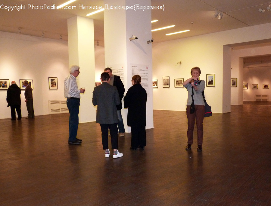 Human, People, Person, Art, Art Gallery