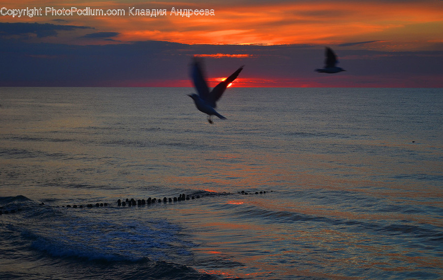 Dawn, Dusk, Nature, Outdoors, Red Sky