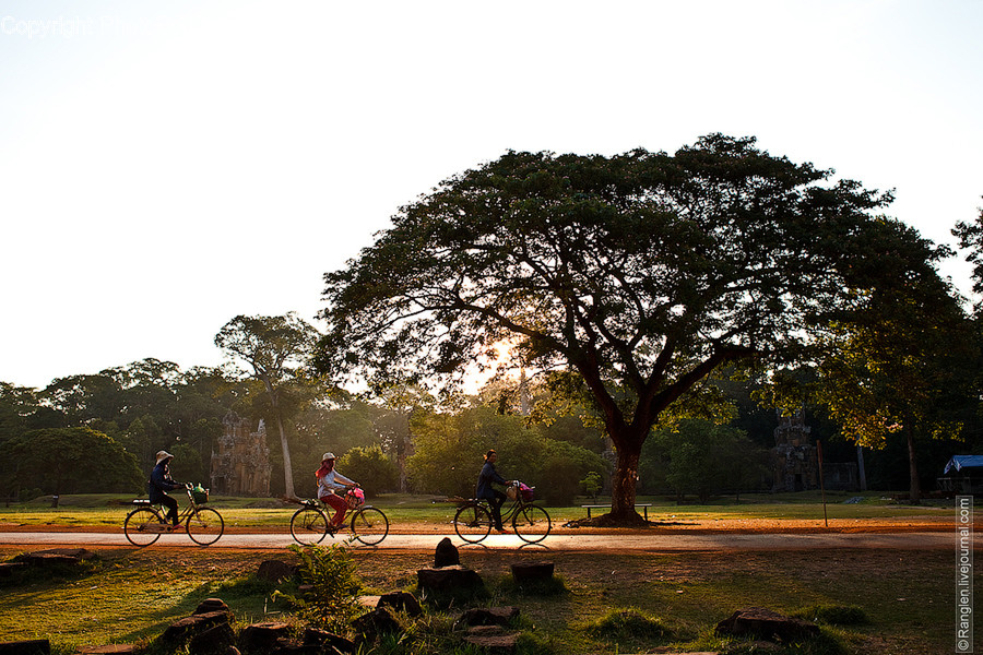 Bicycle, Bike, Cyclist, Human, Person