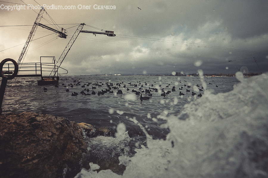Constriction Crane, Rubble, Landscape, Nature, Outdoors