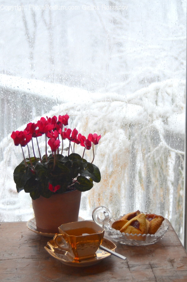 Flora, Jar, Plant, Potted Plant, Pottery