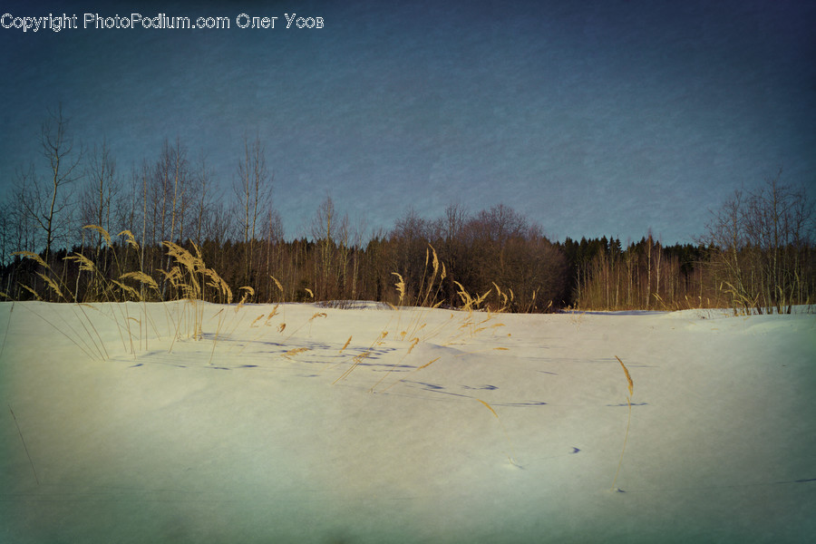 Dune, Outdoors, Sand, Soil, Desert