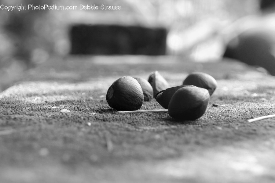 Acorn, Flora, Food, Grain, Nut