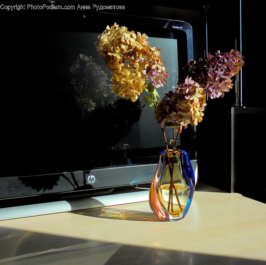Art, Blossom, Flora, Flower, Flower Arrangement