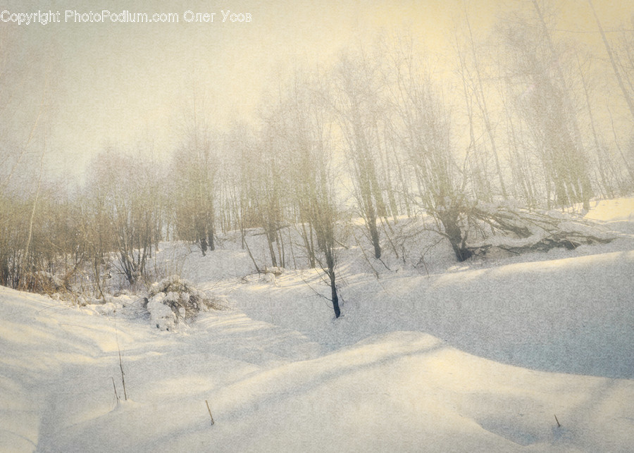 Blizzard, Nature, Outdoors, Snow, Storm
