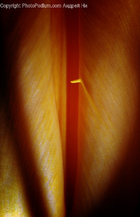 Light, Art, Modern Art