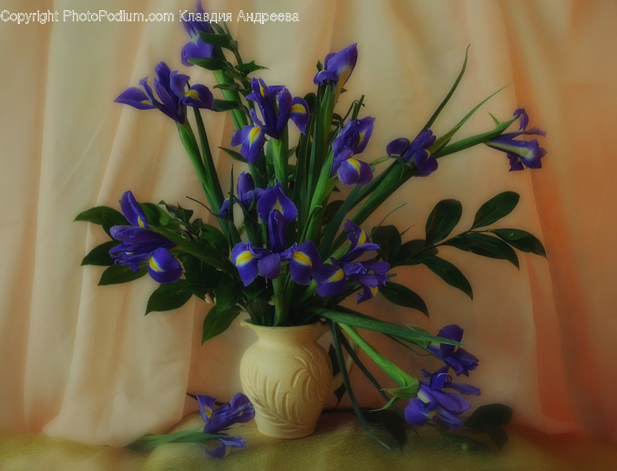 Flora, Jar, Plant, Potted Plant, Pottery