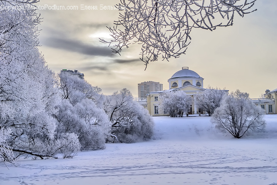 Outdoors, Snow, Frost, Ice, Flora