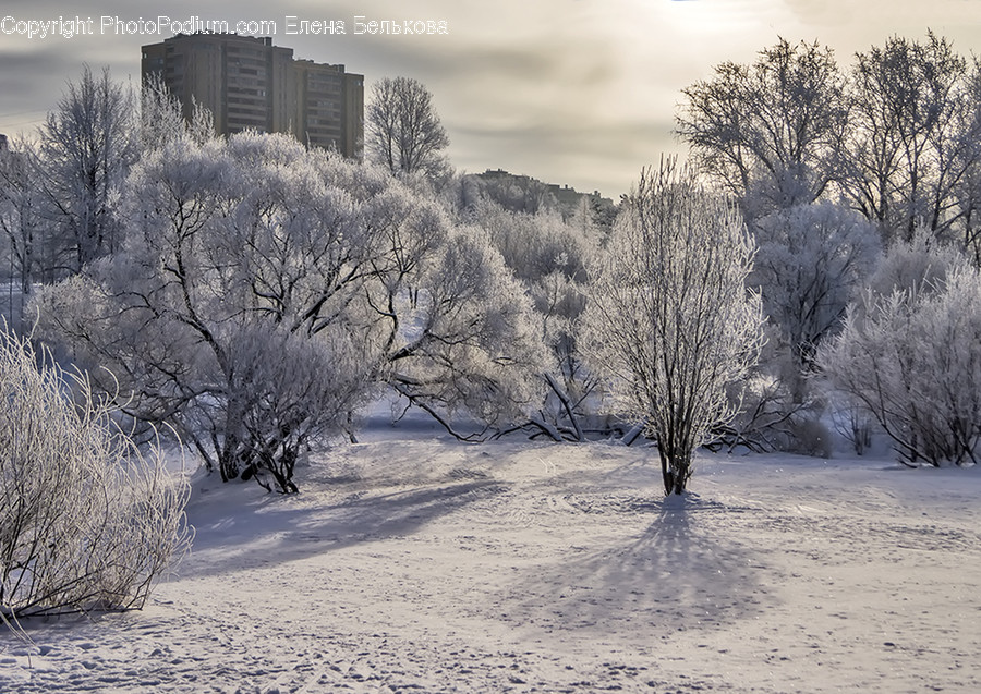 Frost, Ice, Outdoors, Snow, Landscape