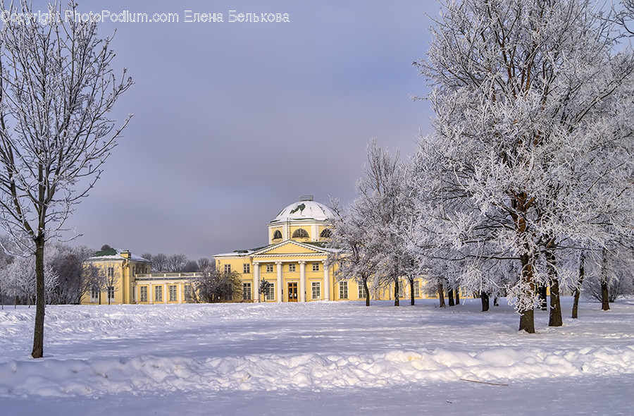 Building, House, Housing, Mansion, Campus