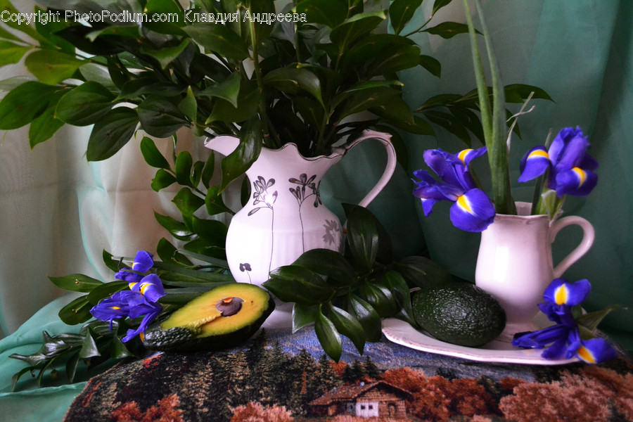 Flora, Jar, Plant, Potted Plant, Pottery