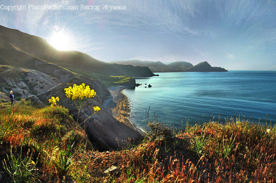 Promontory, Flora, Grass, Plant, Coast