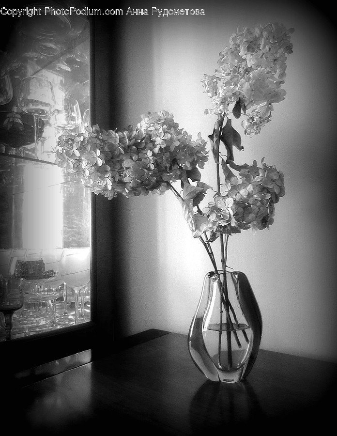 Jar, Pottery, Vase, Flora, Plant