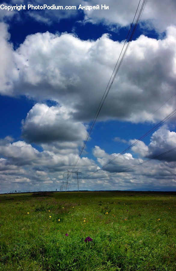 Field, Grass, Grassland, Land, Outdoors, Cloud, Cumulus