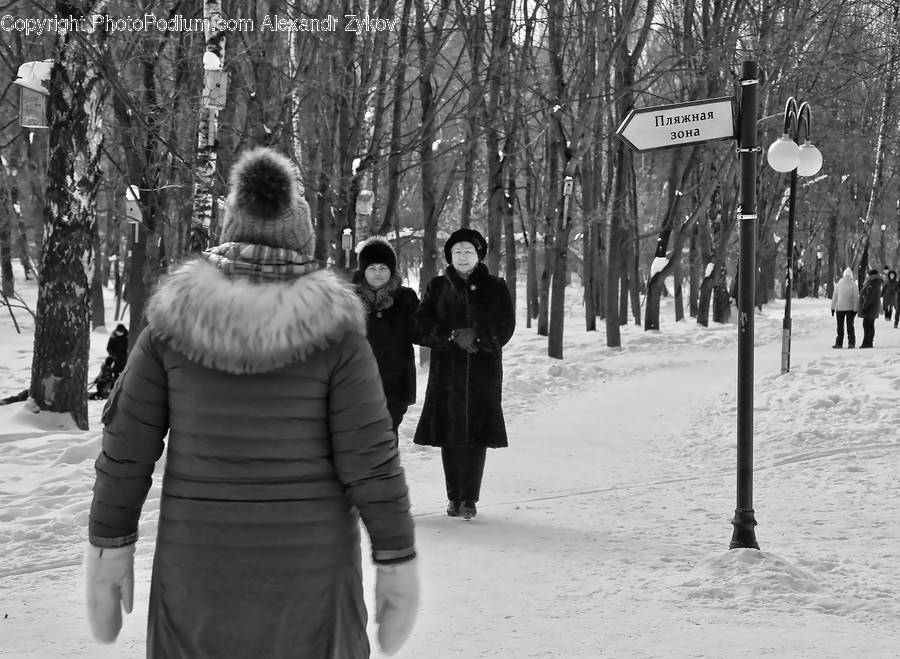 Human, People, Person, Back, Outdoors