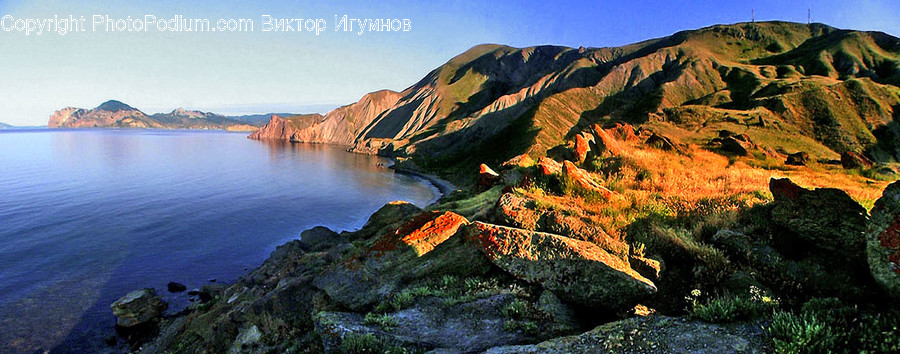 Promontory, Cliff, Outdoors, Flora, Plant