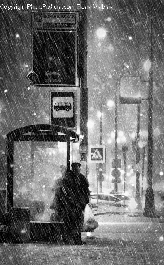 Blizzard, Nature, Outdoors, Snow, Storm