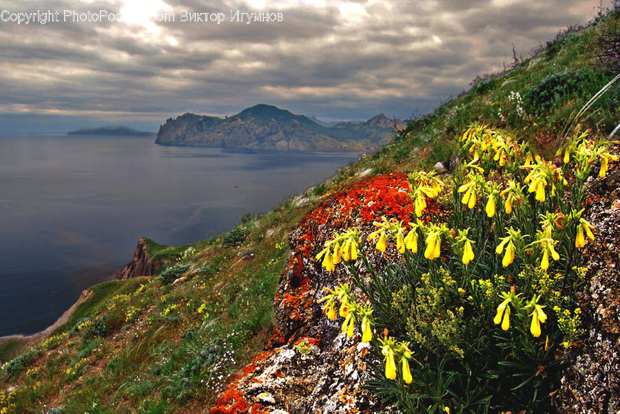 Landscape, Nature, Outdoors, Scenery, Cliff