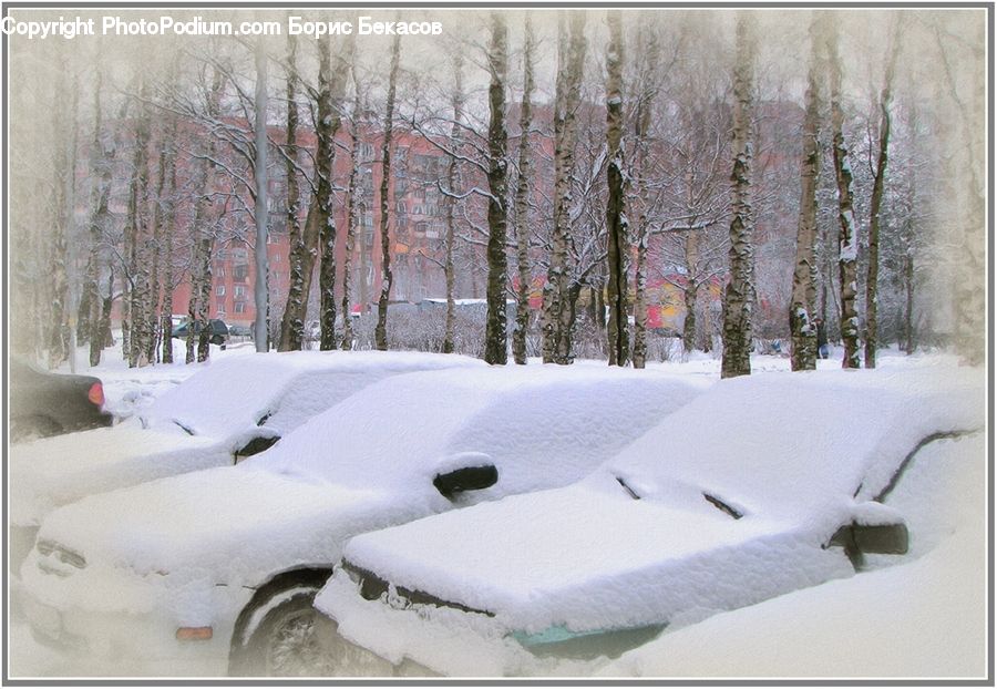 Blizzard, Outdoors, Snow, Weather, Winter, Ice