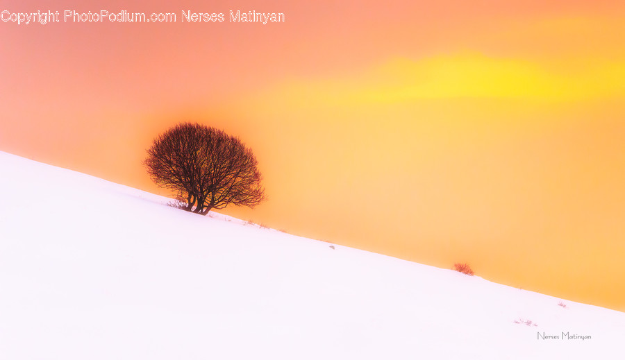 Desert, Nature, Outdoors, Soil, Sunlight