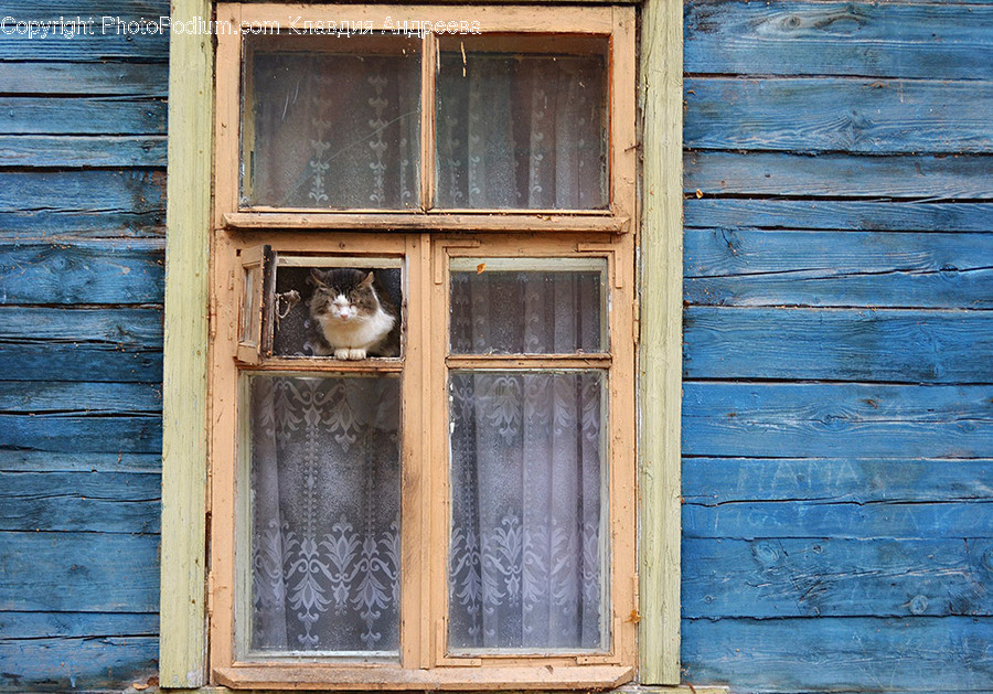 Window, Drawer, Furniture