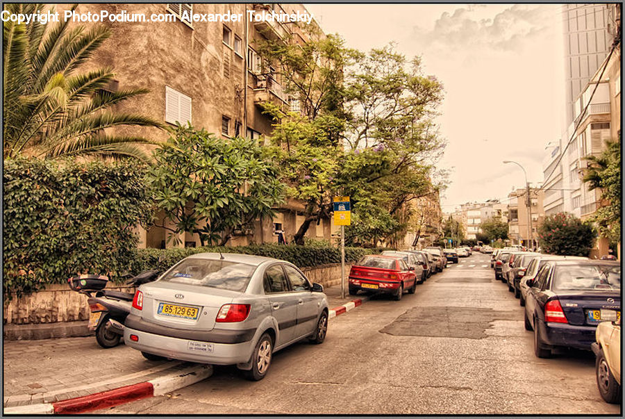 Automobile, Car, Vehicle, Building, Housing, Villa, Coupe