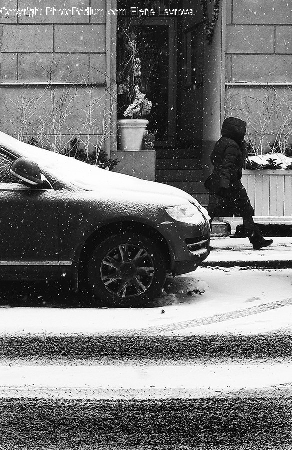 Human, People, Person, Blizzard, Nature