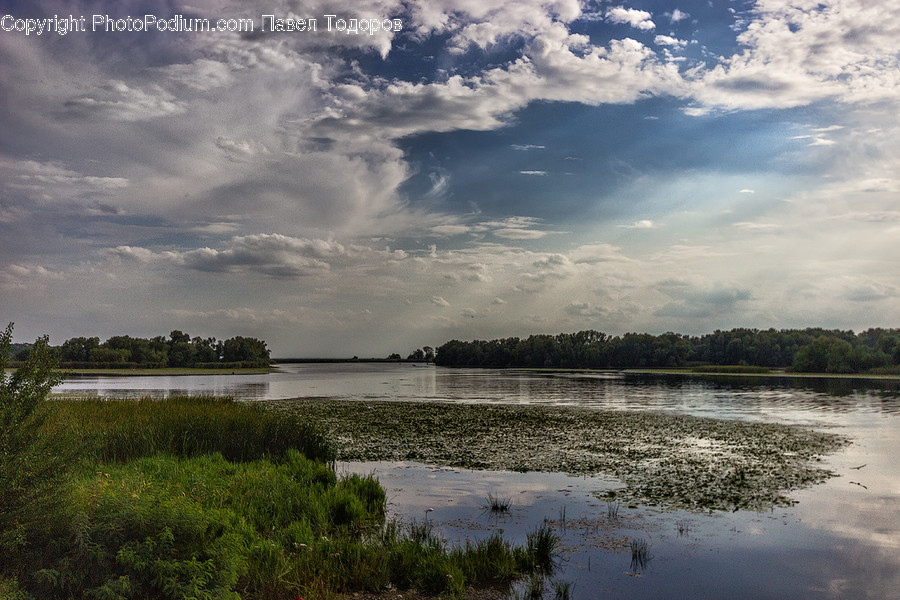 Cloud, Cumulus, Nature, Outdoors, Sky