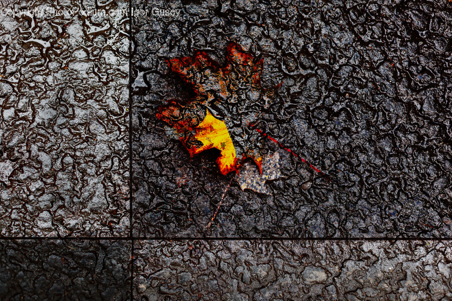 Asphalt, Tarmac, Path, Pavement, Sidewalk