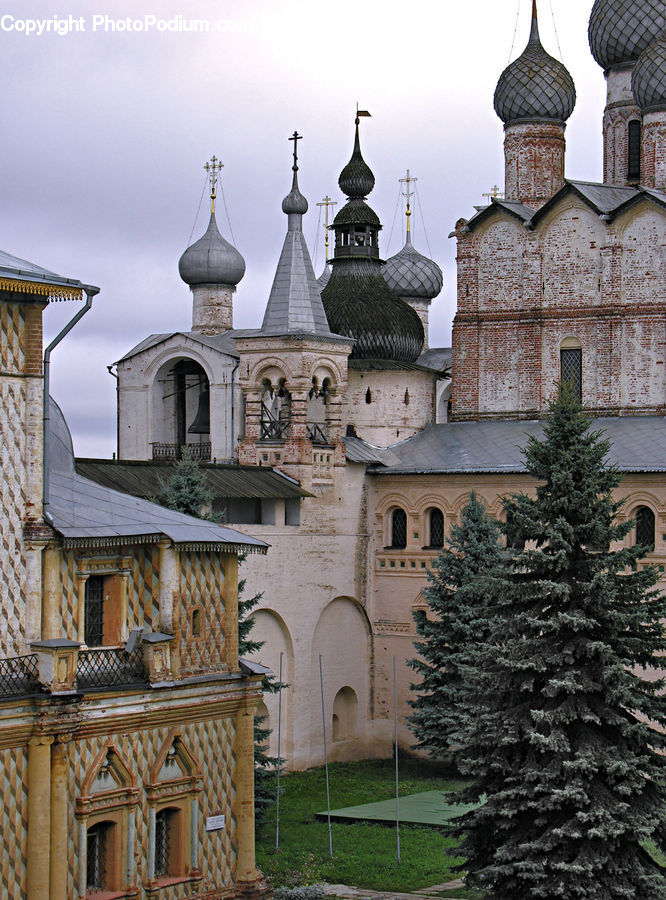 Architecture, Tower, Bell Tower, Clock Tower, Conifer, Fir, Spruce