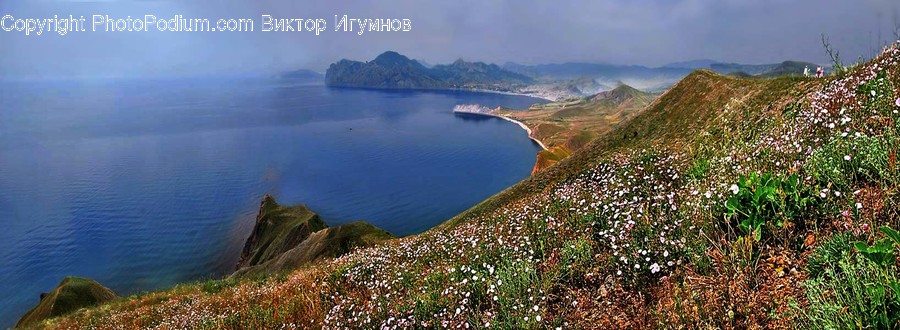 Coast, Nature, Ocean, Outdoors, Sea