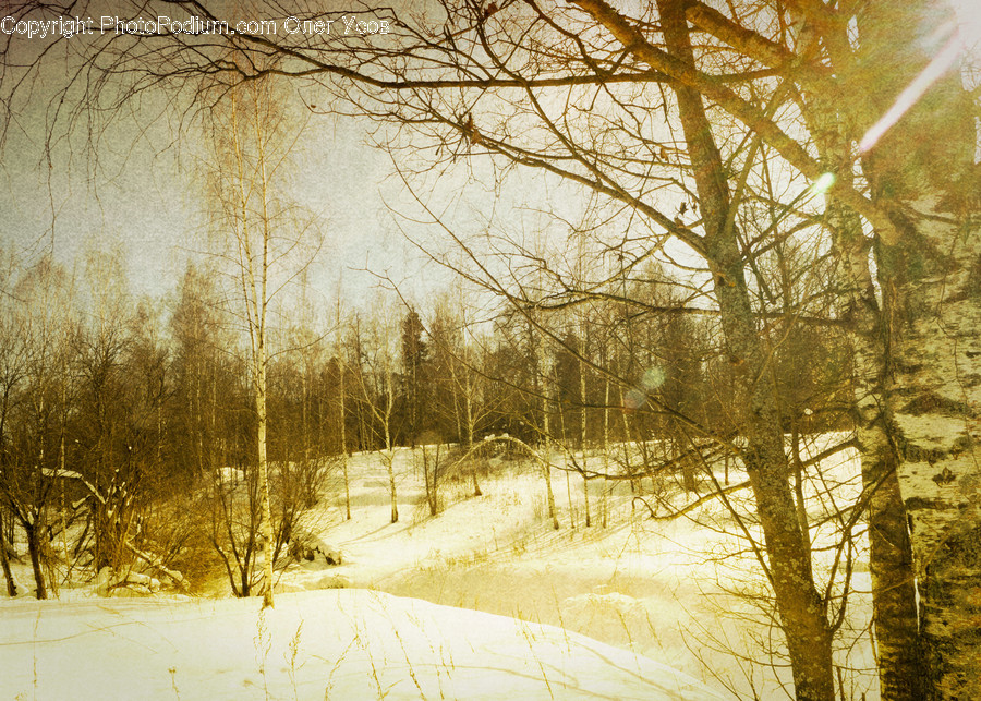 Dirt Road, Gravel, Road, Outdoors, Snow