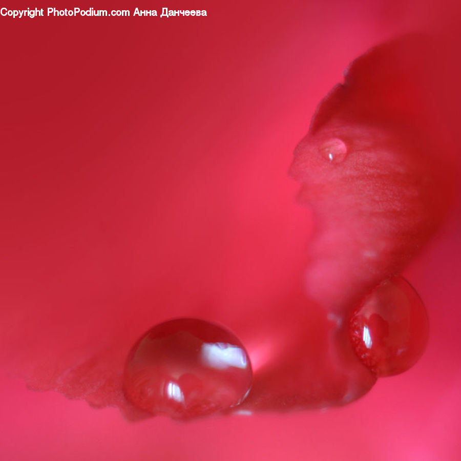 Droplet, Hole, Mouth, Throat, Blossom, Flora, Flower
