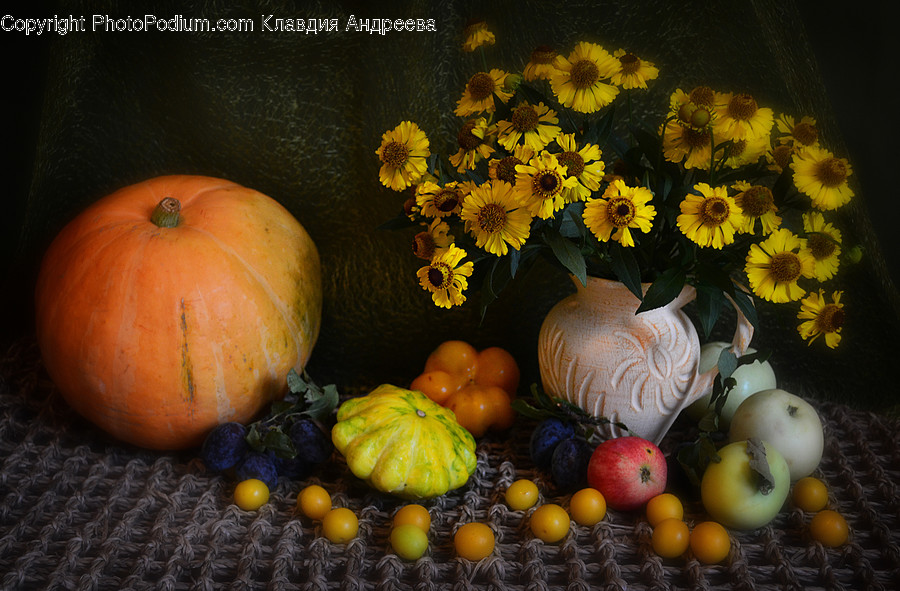 Citrus Fruit, Flora, Food, Fruit, Grapefruit