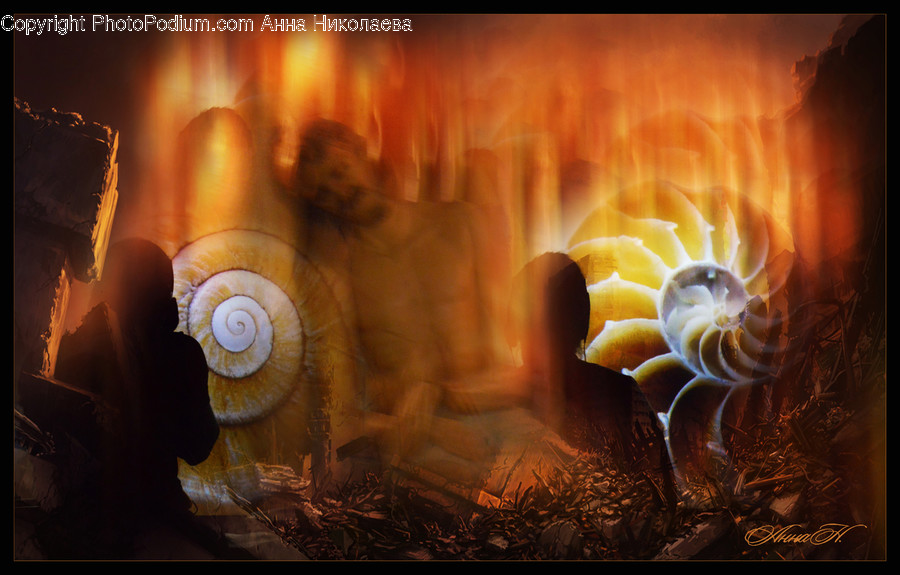 Spiral, Fire, Blossom, Flora, Flower