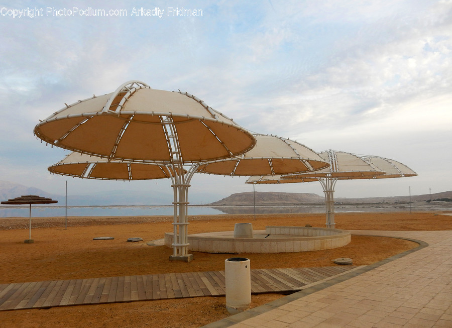 Plywood, Wood, Beach, Coast, Nature