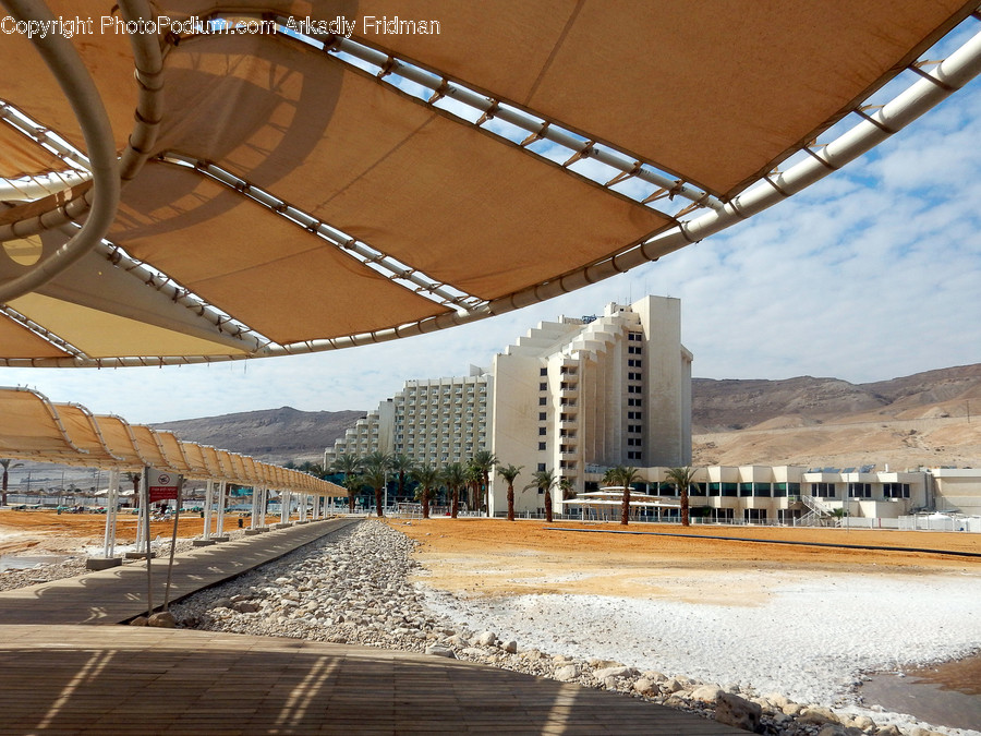Train, Transportation, Vehicle, Rail, Railway