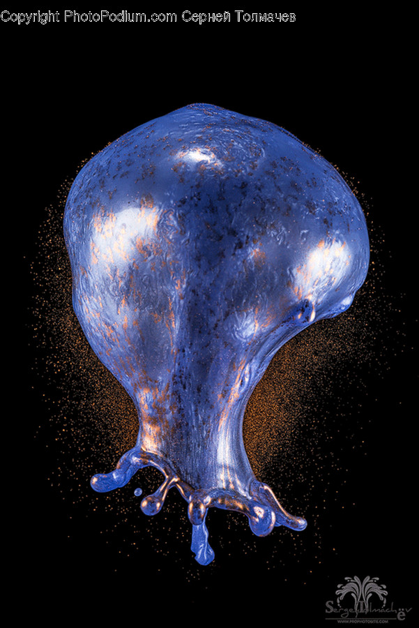 Animal, Invertebrate, Jellyfish, Sea Life, Water
