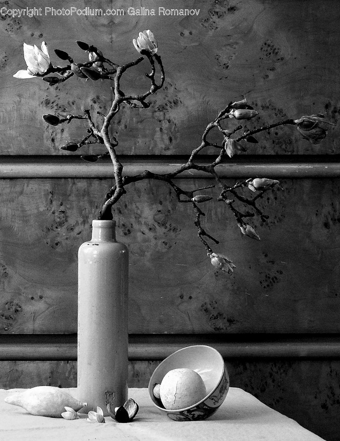 Bottle, Blossom, Flora, Flower, Petal