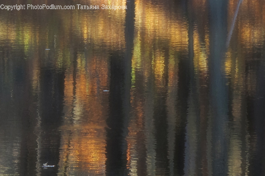 Water, Sunlight, Outdoors, Ripple, Flora