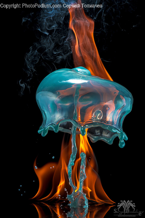Animal, Invertebrate, Jellyfish, Sea Life, Fire