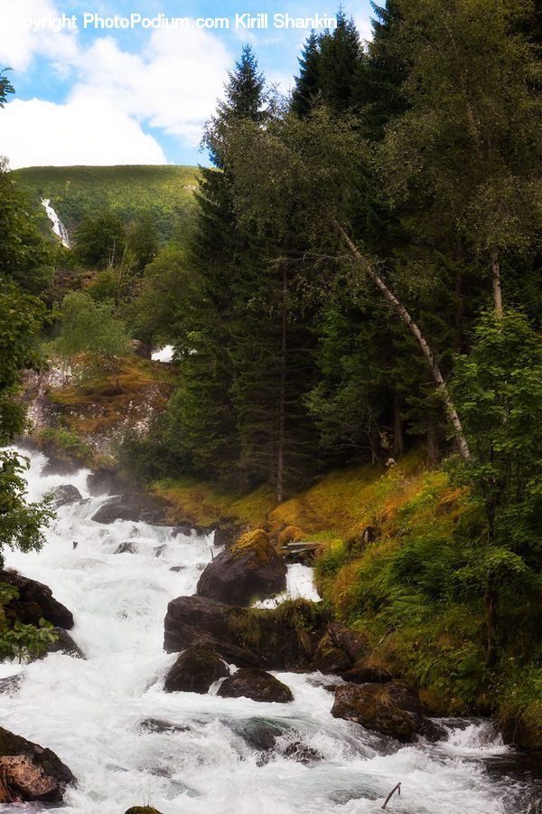 Creek, Outdoors, River, Water, Coast, Sea, Wilderness