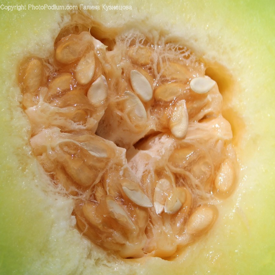 Flora, Food, Fruit, Melon, Plant